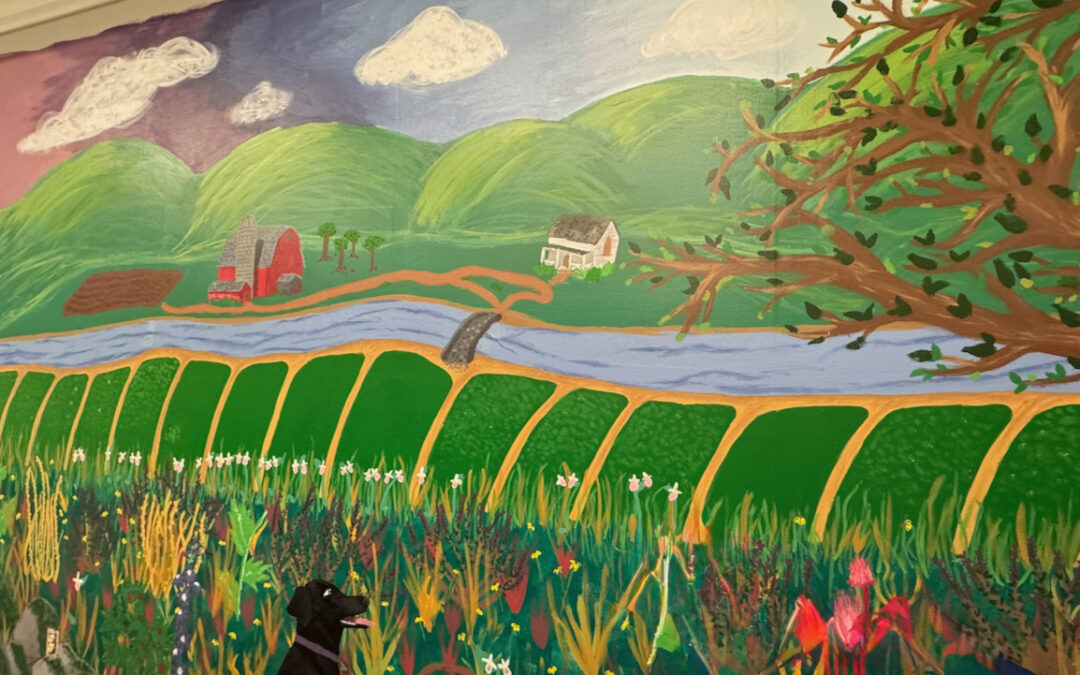 Burnsville Students Bring Creativity to the Food Shelf