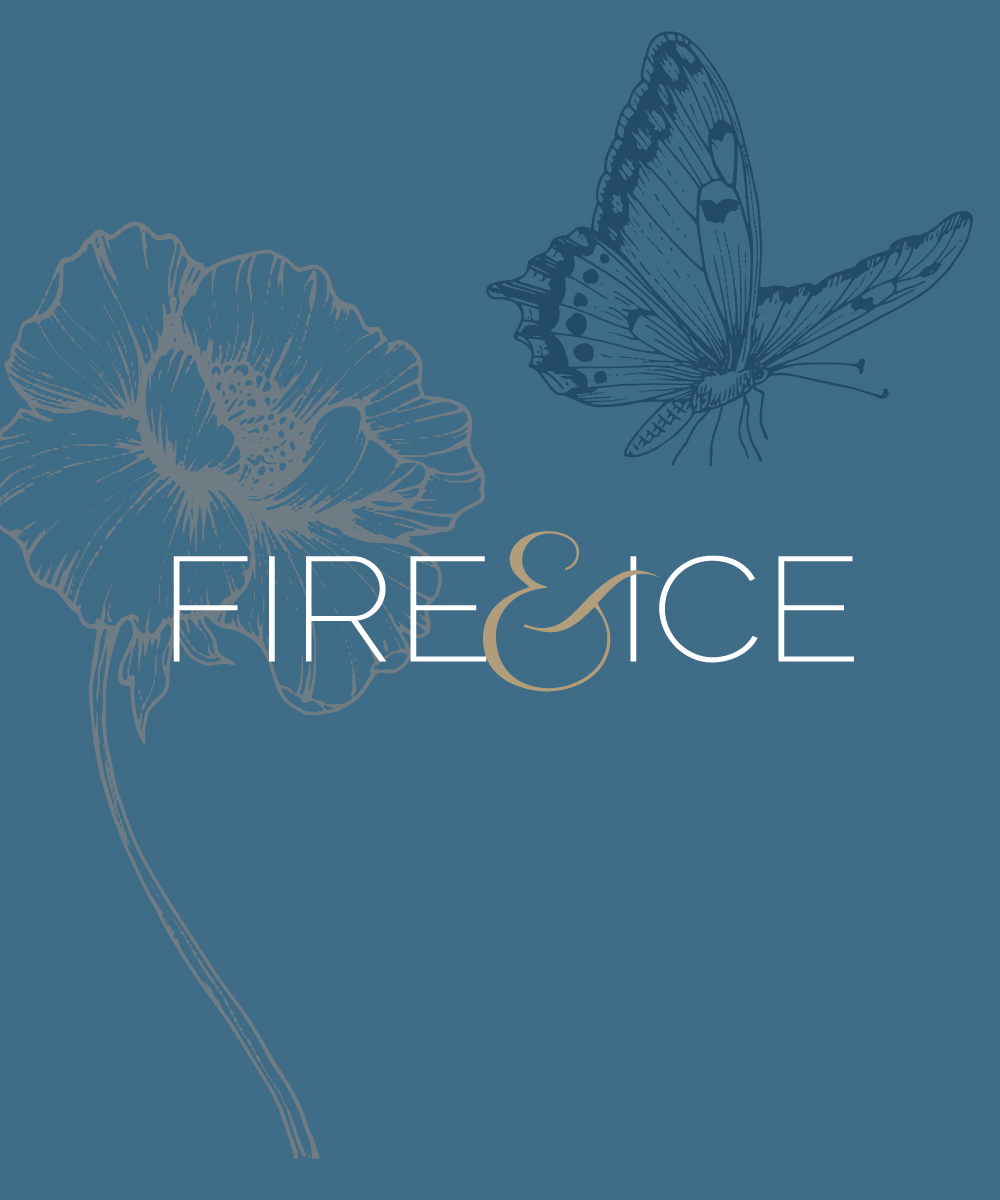 Fire and Ice Gala