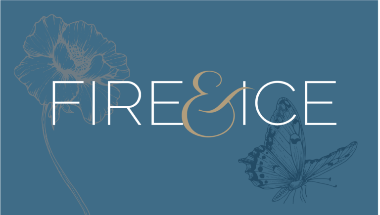 Fire and Ice Gala